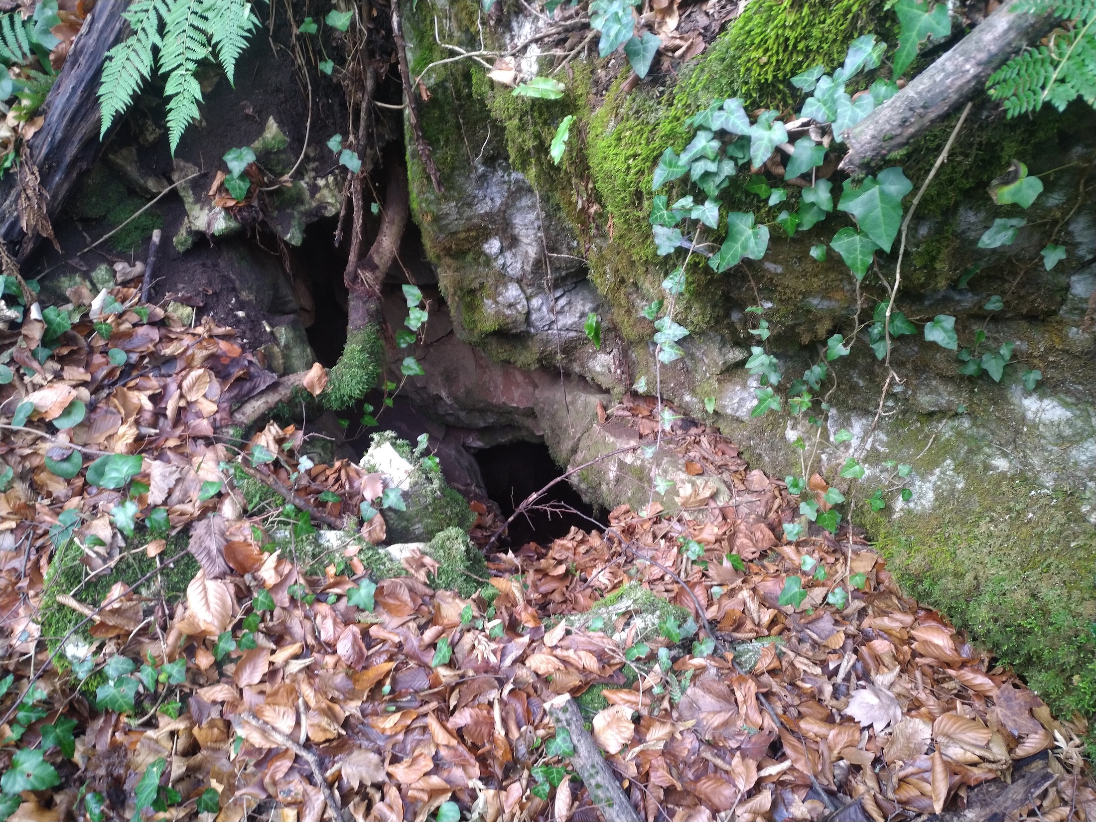 Pestera nr. 23 din Valea Comarnic - Image 3